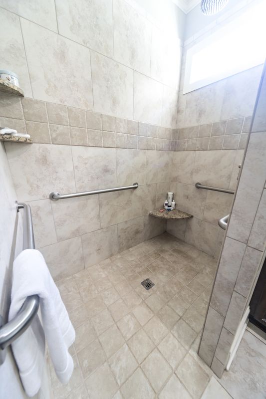 Open Concept Shower with No Door